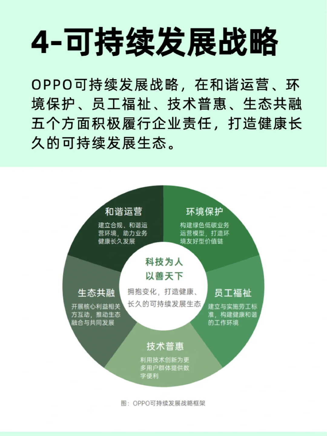 行业top级企业分析：oppo